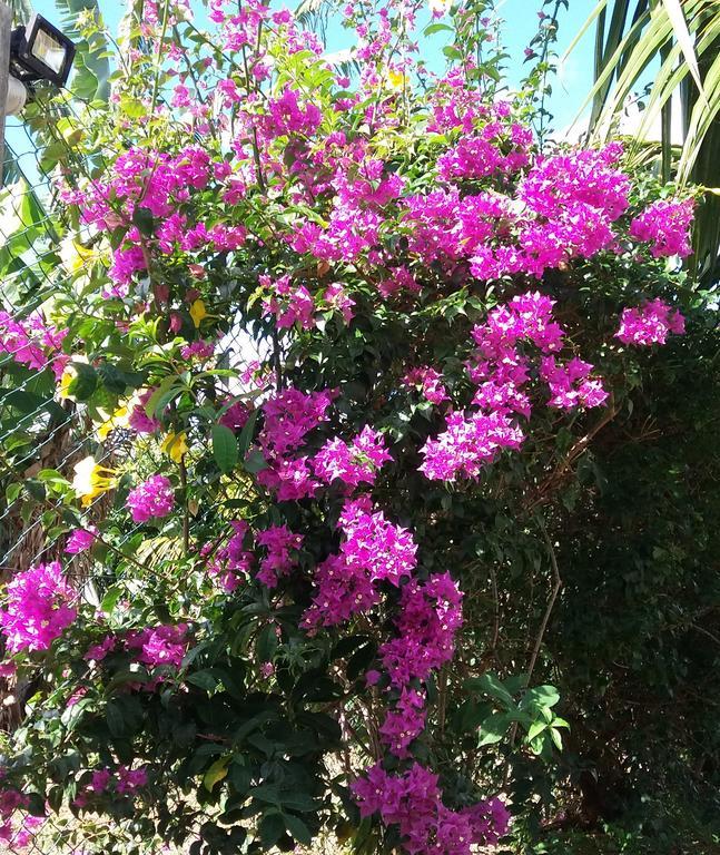 La Maison Soleil ทรู โดว์ ดูซ ภายนอก รูปภาพ